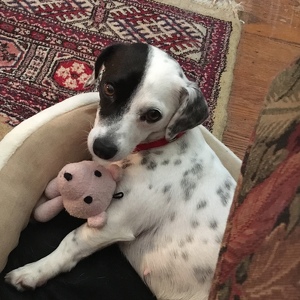 Team Page: Bernice Superstar